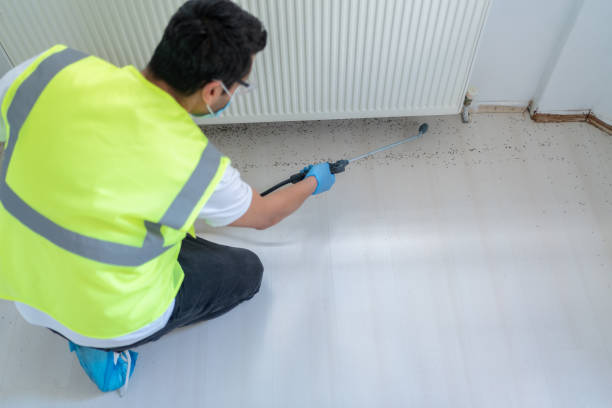 Best Commercial Pest Control  in Prescott Valley, AZ